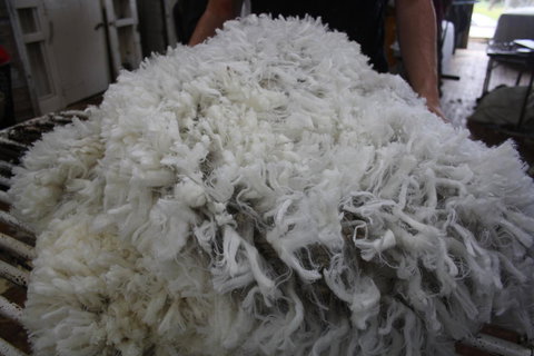 Rabbiters Hut - Accommodation Brisbane 20