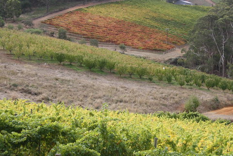 Rabbiters Hut - Accommodation Brisbane 25