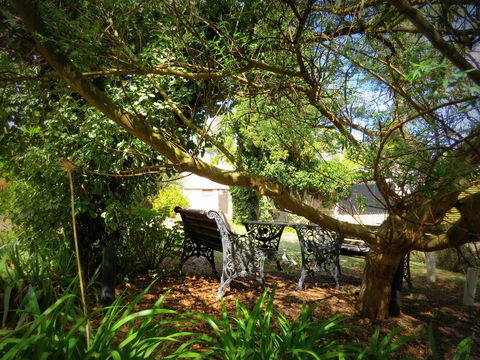 The Pig And Whistle - Accommodation Brisbane 4