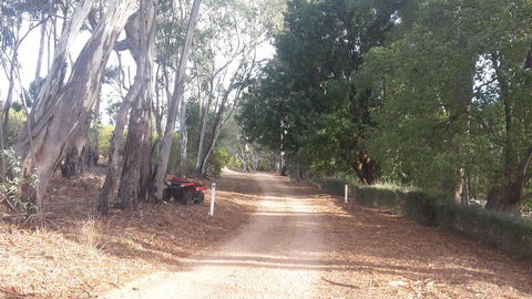 Taralee Orchards - Accommodation Brisbane 4