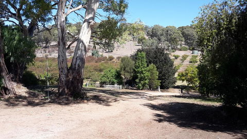 Taralee Orchards - Accommodation Brisbane 3