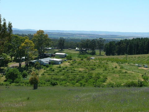 Taralee Orchards - Accommodation Brisbane 0