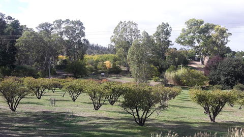 Taralee Orchards - Accommodation Brisbane 1