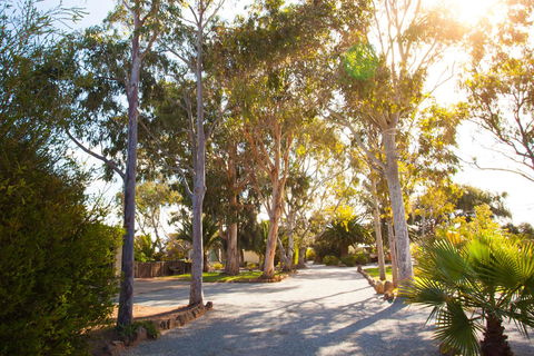 Modra\'s Apartments - Accommodation Brisbane 0