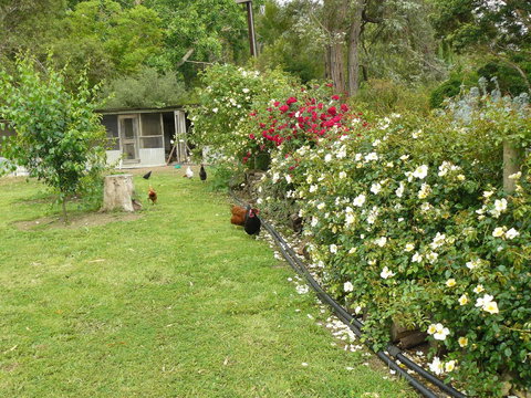Camawald Coonawarra Cottage B&B - Accommodation Brisbane 3