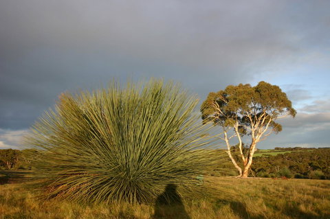 Ecopia Retreat - Accommodation Brisbane 23