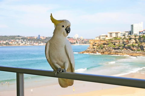 Beachfront Bliss - Accommodation Brisbane 23