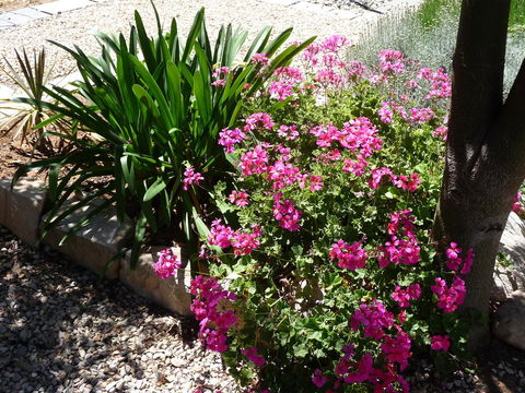 Country Bakehouse Accommodation - Accommodation Brisbane 18