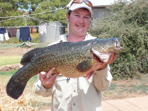 Country Bakehouse Accommodation - Accommodation Brisbane 20