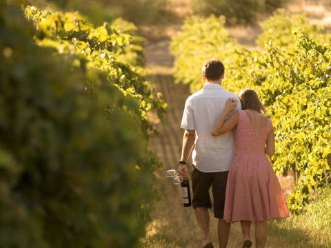 Novotel Barossa Valley Resort - Accommodation Brisbane 40