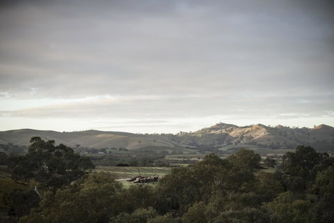 Novotel Barossa Valley Resort - Accommodation Brisbane 23
