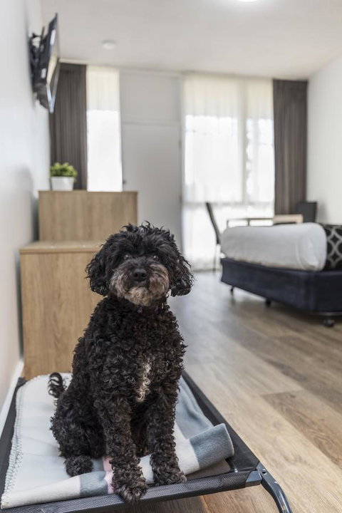 Adelaide Road Motor Lodge - Accommodation Brisbane 2