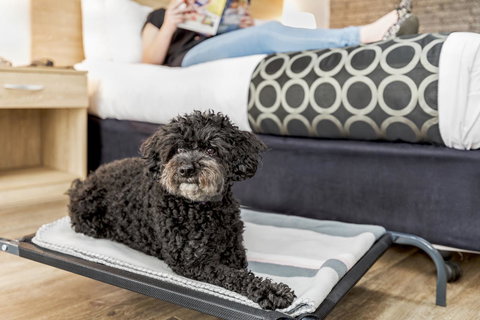 Adelaide Road Motor Lodge - Accommodation Brisbane 5