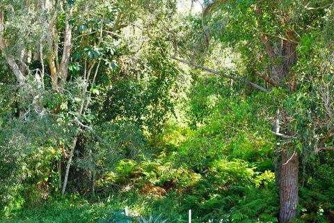 Brunswick Heads Treetop Studio - Accommodation Brisbane 20