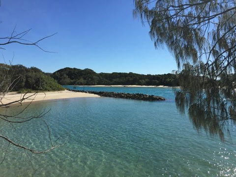 Brunswick Heads Treetop Studio - Accommodation Brisbane 22