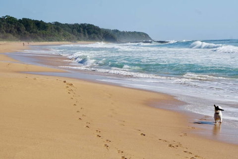 Culburra Beachhouse - Accommodation Brisbane 7
