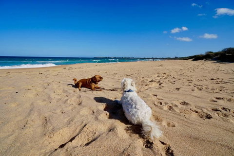 Culburra Beachhouse - Accommodation Brisbane 8