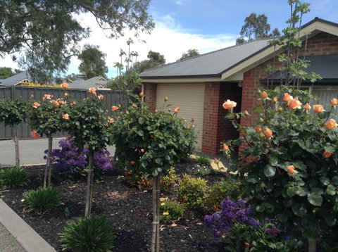 C And C Tanunda - Accommodation Brisbane 1