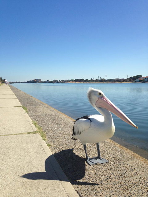 Lakeside - Accommodation Brisbane 12