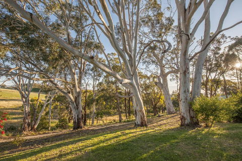 Discovery Parks - Hahndorf - Accommodation Brisbane 4