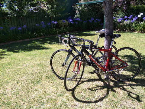 Fernweh Guesthouse - Accommodation Brisbane 25