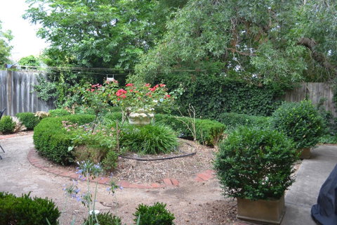 A Secret Treasure - Accommodation Brisbane 17
