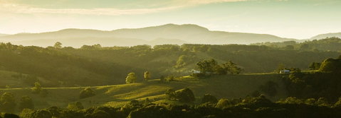 SummerHills Retreat Byron Bay - Accommodation Brisbane 24