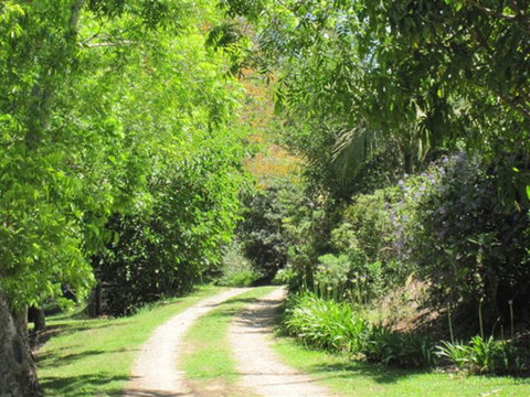 SummerHills Retreat Byron Bay - Accommodation Brisbane 33