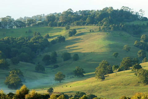 SummerHills Retreat Byron Bay - Accommodation Brisbane 20