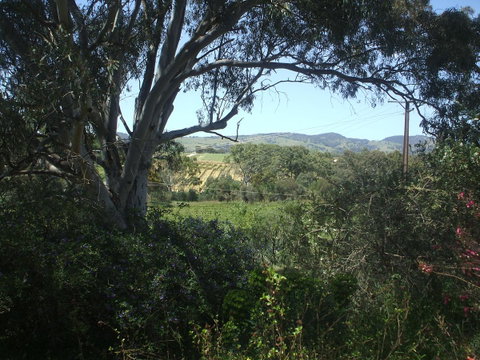 Archery Road Estate - Accommodation Brisbane 0