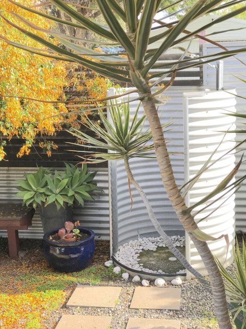 Milly\'s Middleton - Pet-friendly - Accommodation Brisbane 23