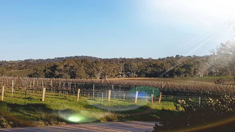 D2 At Watervale - Accommodation Brisbane 23