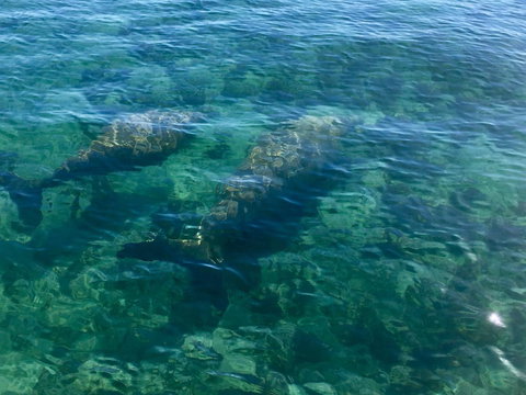 Escape 2 Exmouth - Accommodation Brisbane 28