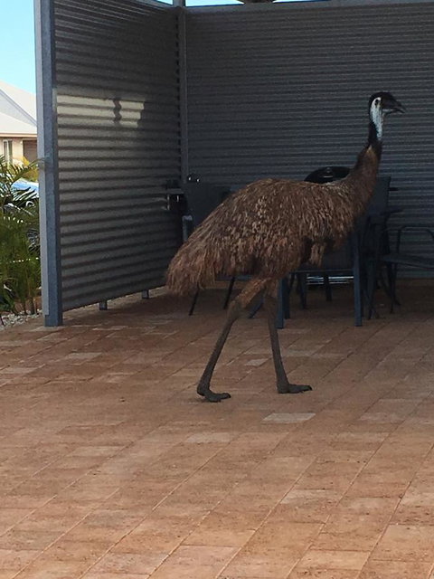 Escape 2 Exmouth - Accommodation Brisbane 15