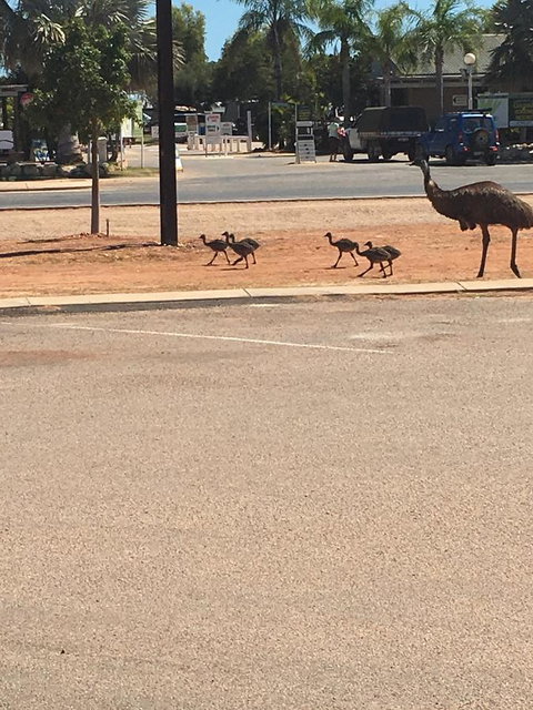 Escape 2 Exmouth - Accommodation Brisbane 29