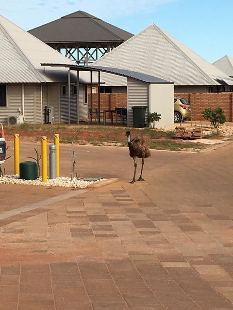 Escape 2 Exmouth - Accommodation Brisbane 16