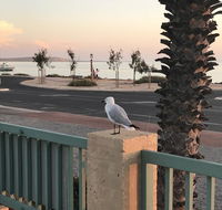 Shark Bay Seafront Apartments - Accommodation Brisbane