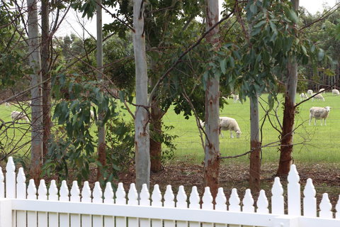 Sapphire Chalets, Augusta - Accommodation Brisbane 9