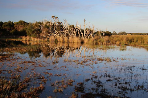 Sapphire Chalets, Augusta - Accommodation Brisbane 13