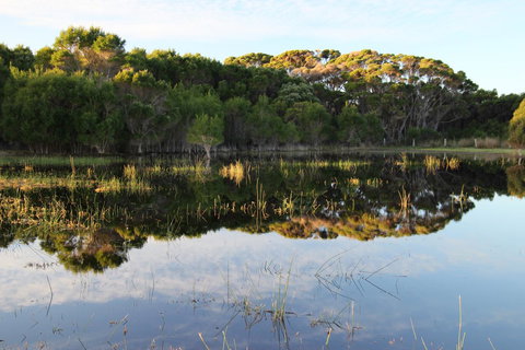 Sapphire Chalets, Augusta - Accommodation Brisbane 14