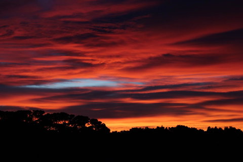 Sapphire Chalets, Augusta - Accommodation Brisbane 15