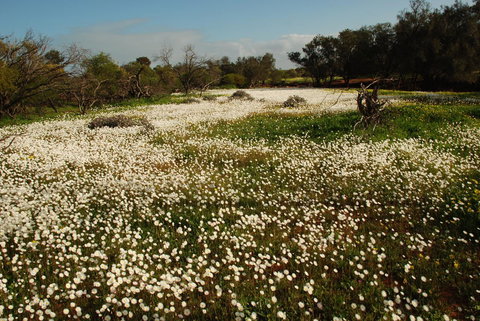 Kalbarri Seafront Villas - Accommodation Brisbane 35