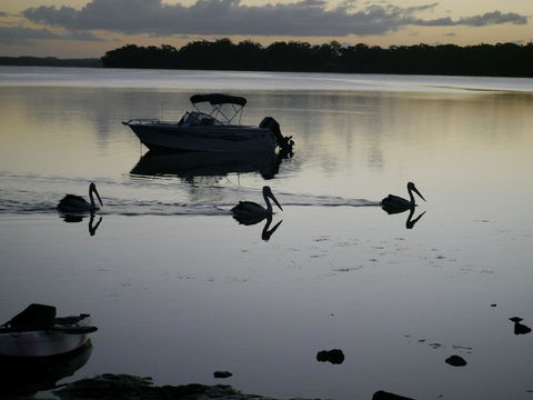 Dungowan Holiday Accommodation - Accommodation Brisbane 41