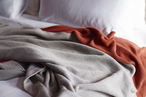 Alex Hotel - Accommodation Brisbane 25