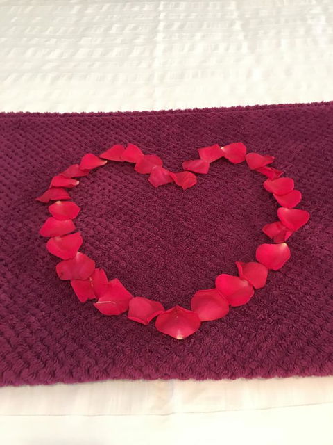 Nelson Bay Bed & Breakfast - Accommodation Brisbane 4