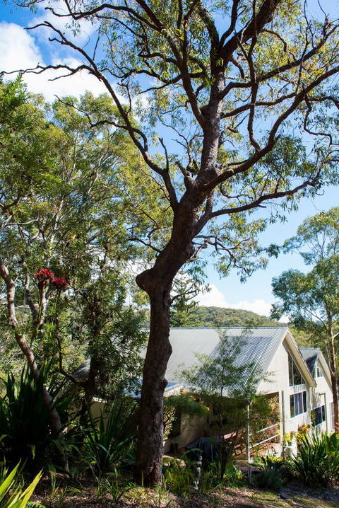 Nelson Bay Bed & Breakfast - Accommodation Brisbane 42
