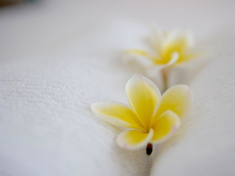 Cossies By The Sea - Accommodation Brisbane 16