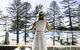 Manly Pacific Sydney MGallery Collection - thumb 6