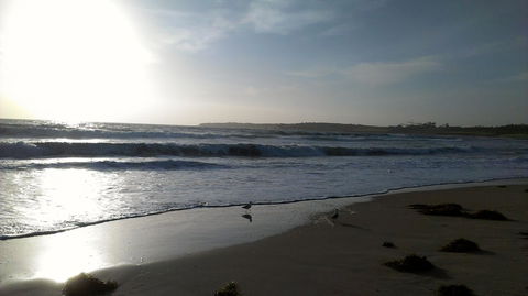 Sweet Spot Shellharbour - Accommodation Brisbane 14
