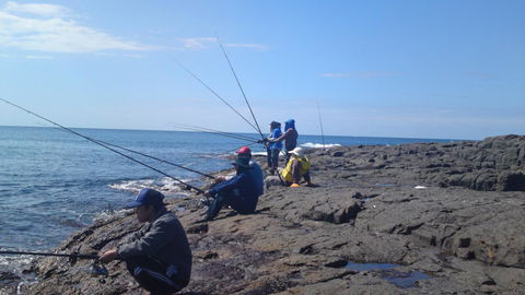 Sweet Spot Shellharbour - Accommodation Brisbane 13